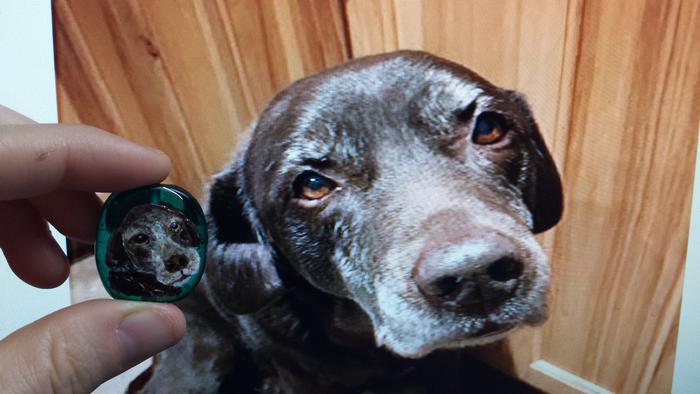 Custom Glass dog beads hand made