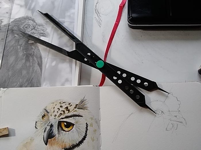 Proportional divider and owl attempt two. Still room for improvement on the owl, but again, I made mistakes on the under drawing