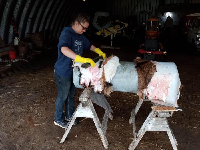 Leora scraping the buckskin