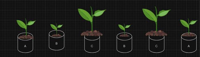 experiment plant growth biochar test comparison 