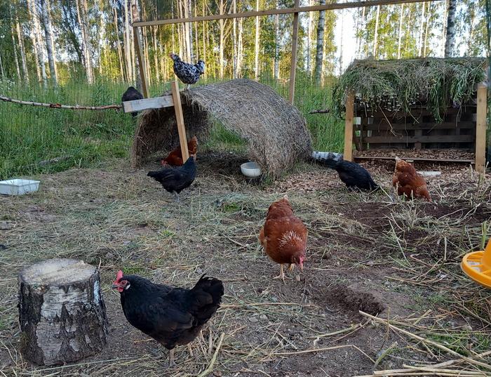 [Thumbnail for 20230712_203917.jpg]