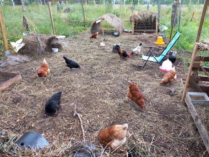 [Thumbnail for 20230718_150628.jpg]