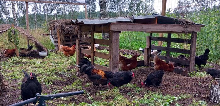 [Thumbnail for 20230803_074905.jpg]