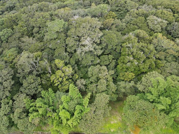 Aerial view of property