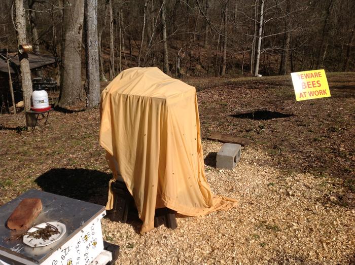 [Thumbnail for image.jpg]