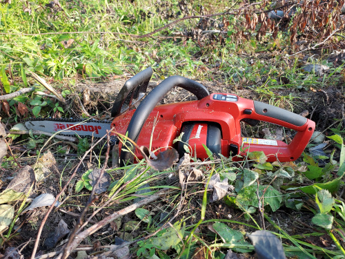 Chainsaw deep rut