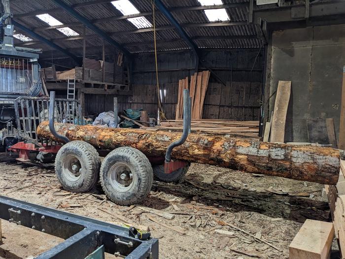 The 4.8m Douglas Fir logs