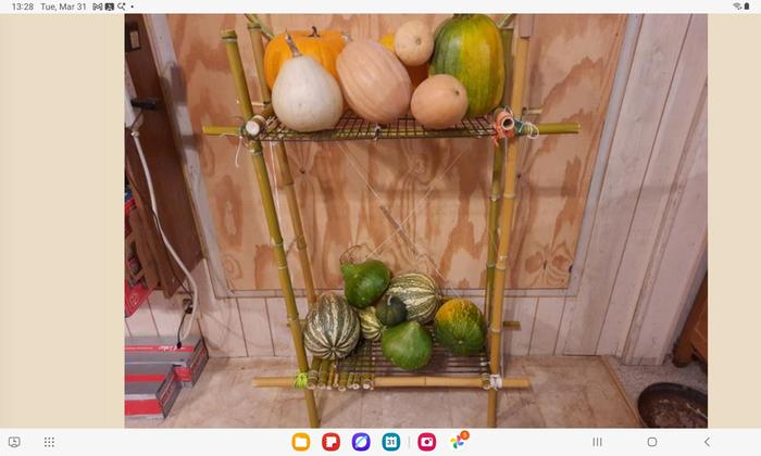 [Thumbnail for Screenshot_20260331_132836_Samsung-Internet.jpg]