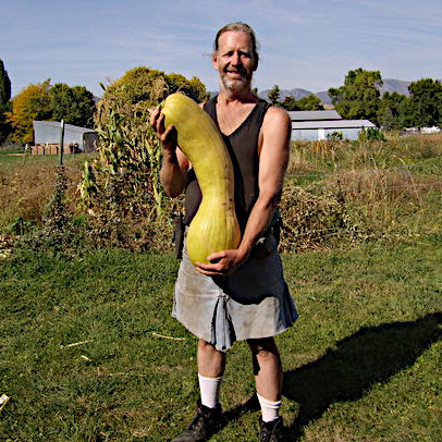 Large Butternut squash