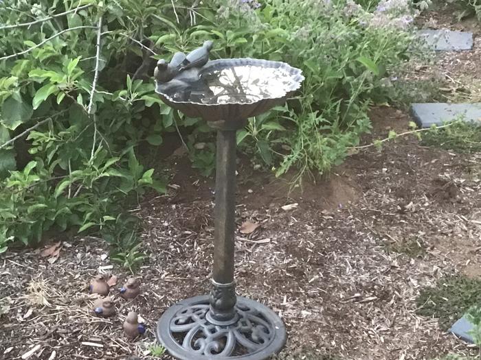 Bird bath