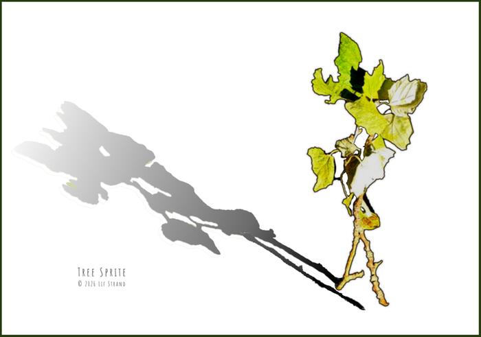 Tree sprite (c) 2026 Lif Strand