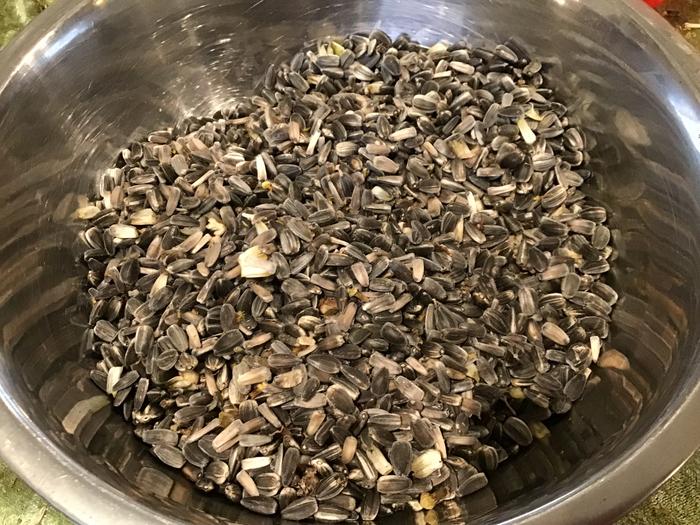 Sun flower seeds
