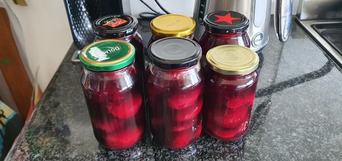 Preserved blood peaches in recycled jars