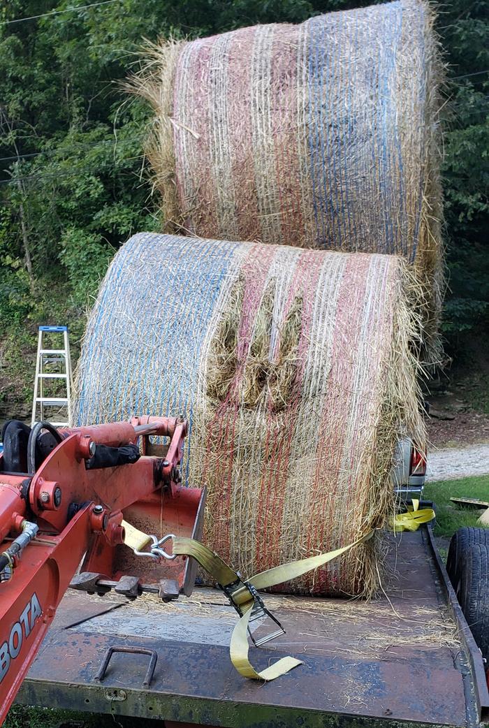 [Thumbnail for 20230811_193511.jpg]