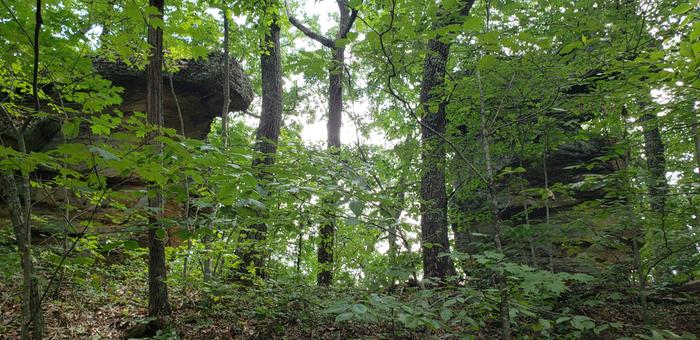 Different view windswept rocks