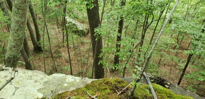 Future potential homesite