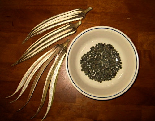 okra pods and seed