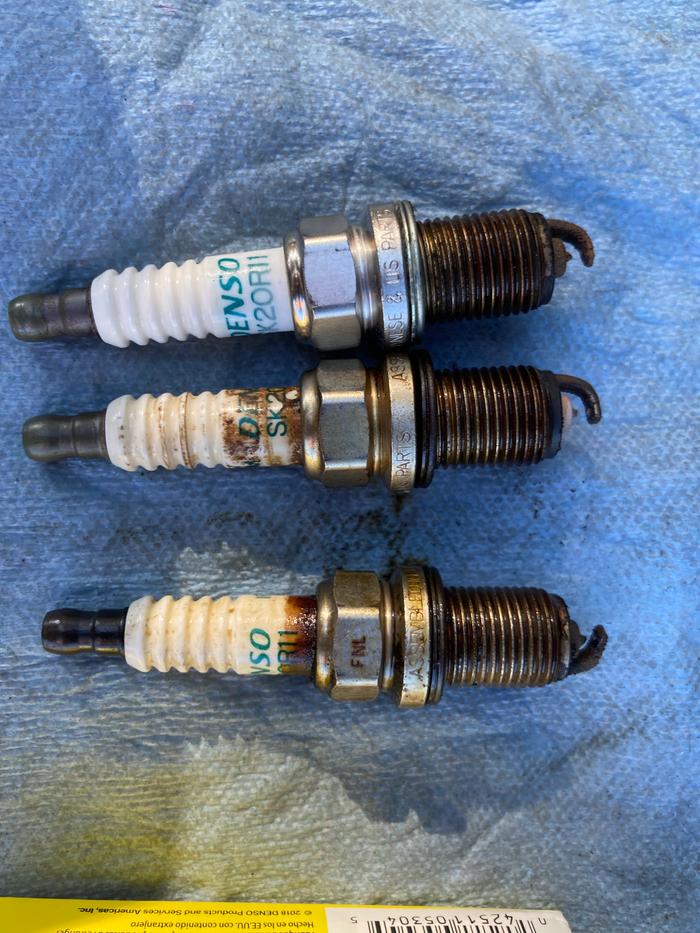oily spark plugs