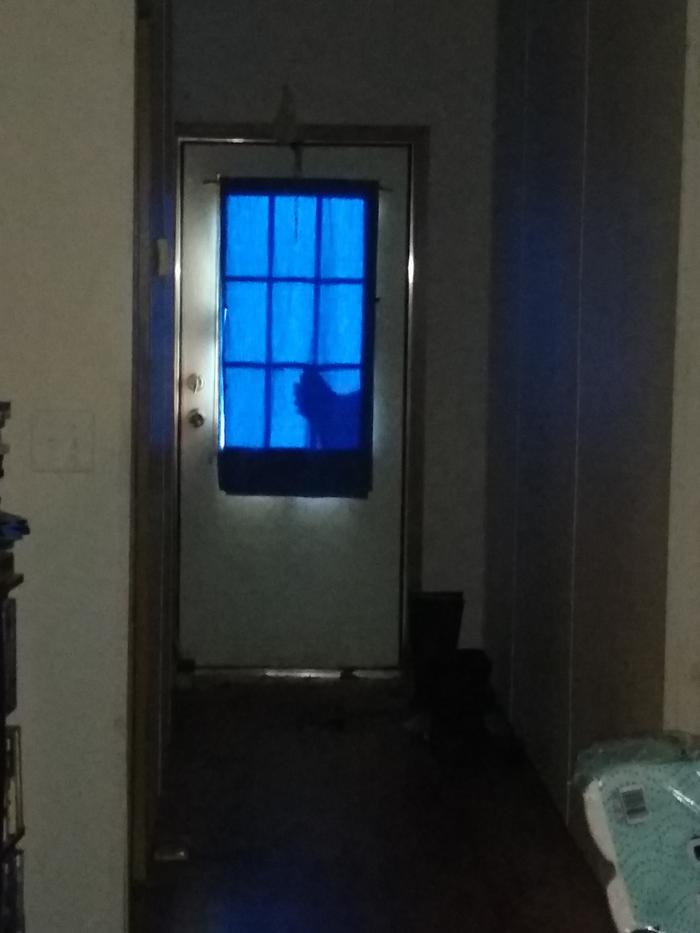 Ominous Chicken Silhouette