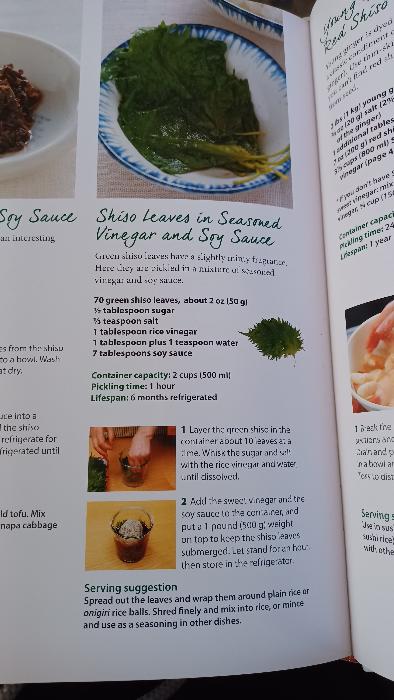 Shiso leaves recipe
