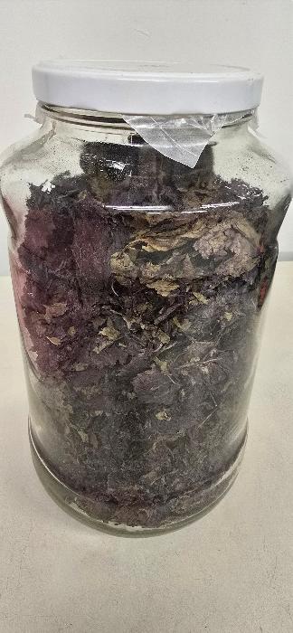 Dehydrated perilla leaves