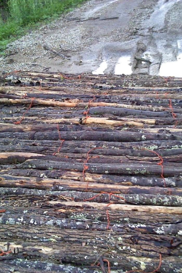 living road construction corduroy alder trunks