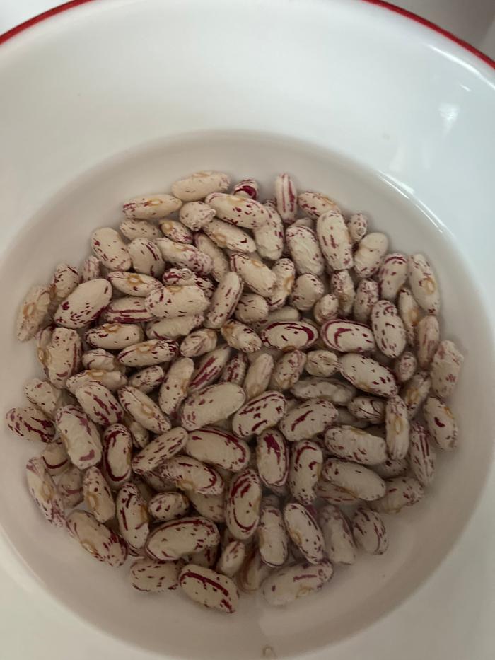 Shelled Cranberry Beans