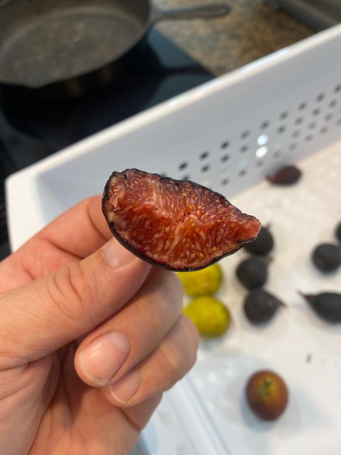 Red berry flavoured fig