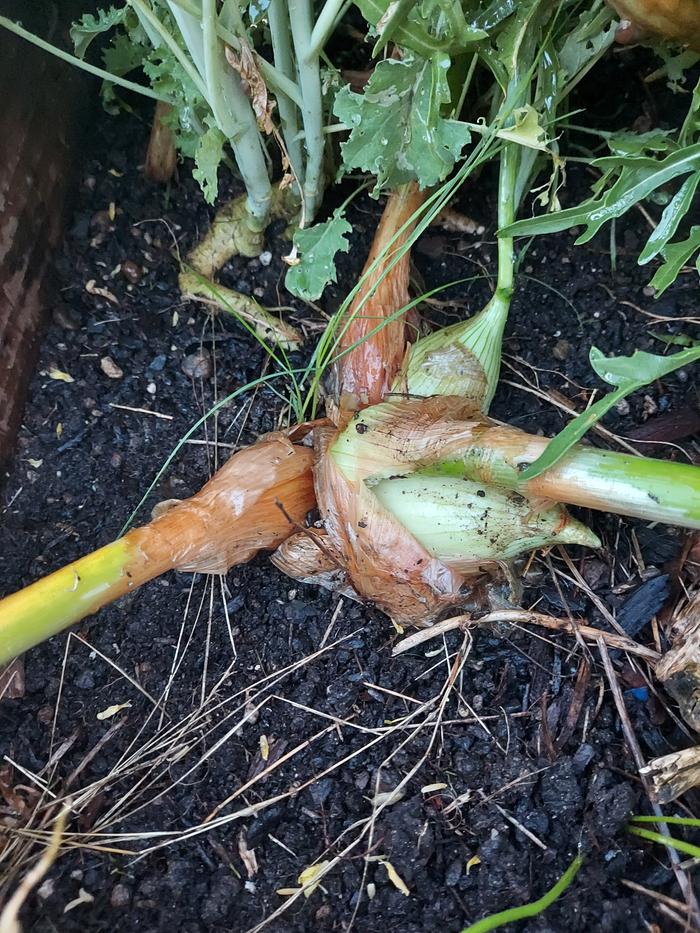 [Thumbnail for 20230826_195619.jpg]