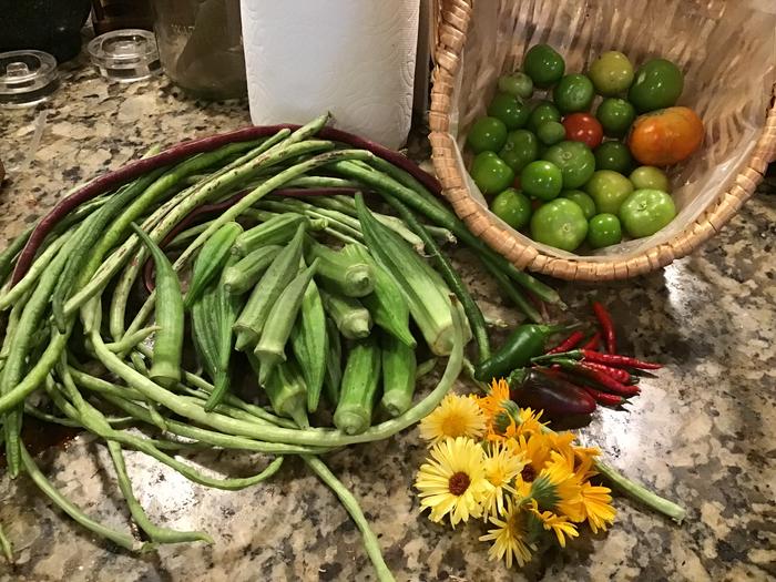 Harvesting 