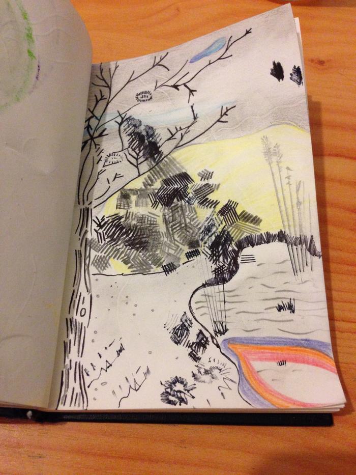 sketchbook page of trees and pond