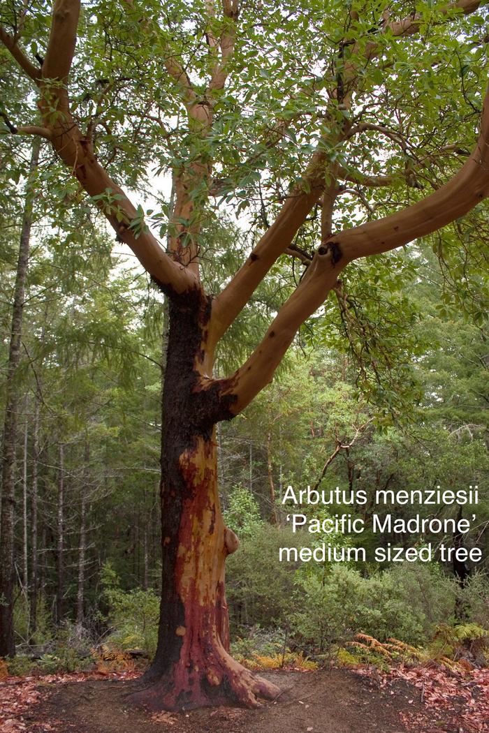 [Thumbnail for IMG_3206.jpeg]