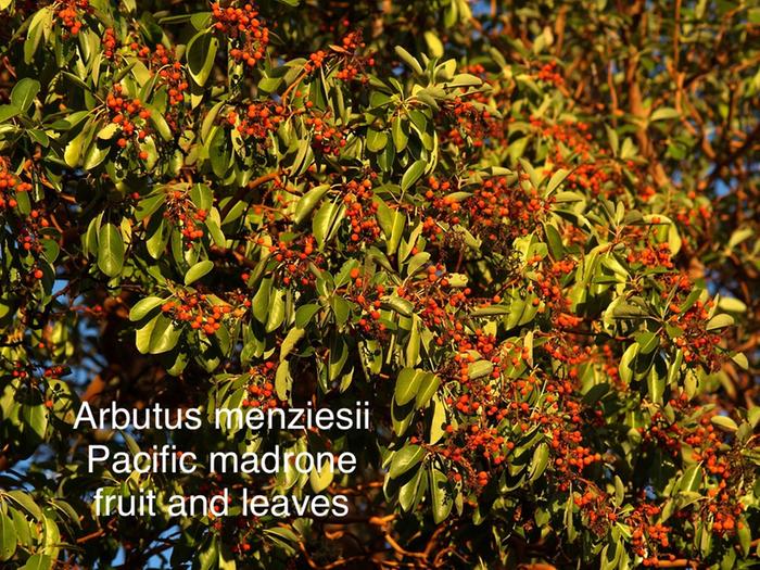 [Thumbnail for IMG_3200.jpeg]