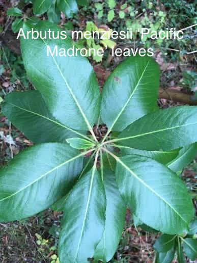 [Thumbnail for IMG_3210.jpeg]