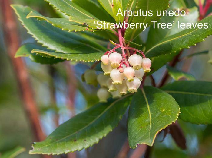 [Thumbnail for IMG_3203.jpeg]