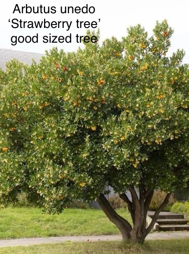 [Thumbnail for IMG_3212.jpeg]