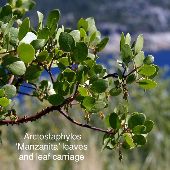 [Thumbnail for IMG_3215.jpeg]