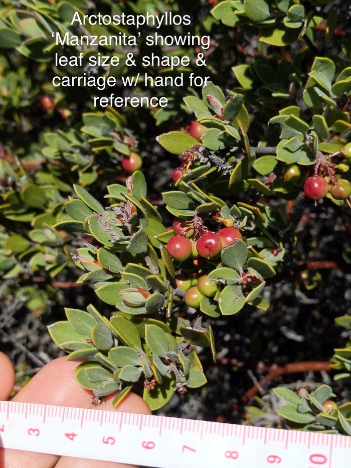 [Thumbnail for IMG_3201.jpeg]