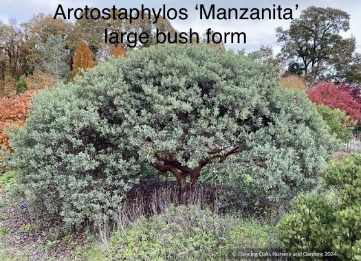 [Thumbnail for IMG_3220.jpeg]