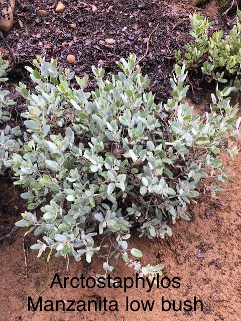 [Thumbnail for IMG_3216.jpeg]