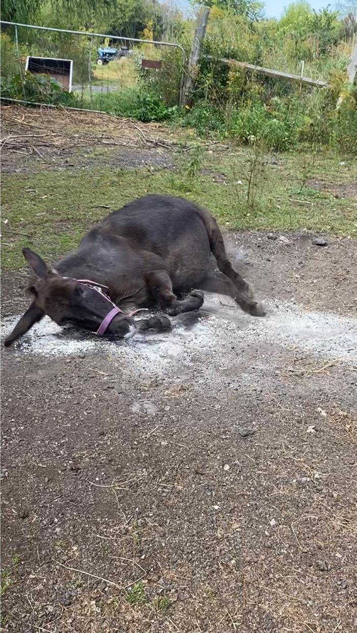 [Thumbnail for IMG_4139.jpeg]