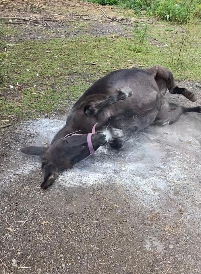 [Thumbnail for IMG_4140.jpeg]