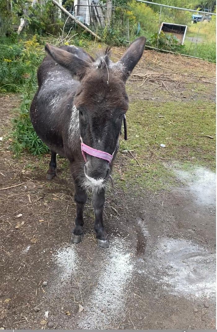 [Thumbnail for IMG_4146.jpeg]