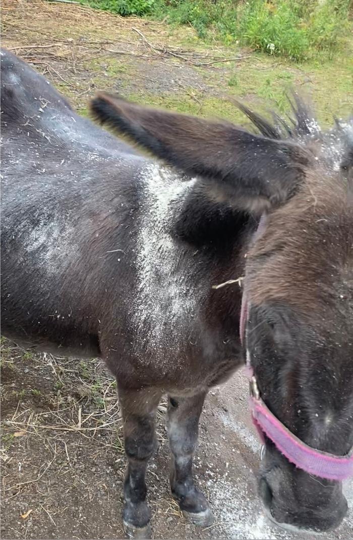 [Thumbnail for IMG_4145.jpeg]