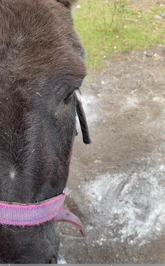 She even loves to eat it! 