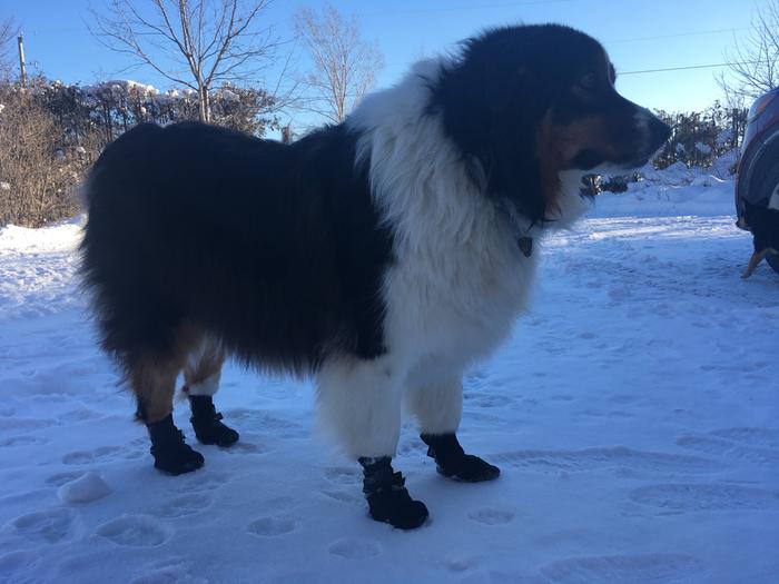 I don’t know if I like my new boots mom. 