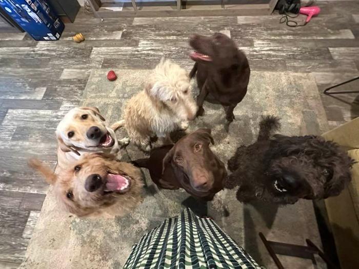 [Thumbnail for Pups.jpg]