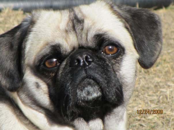 Mugzy Malone in his prime