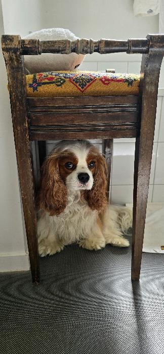 Guarding the bathroom