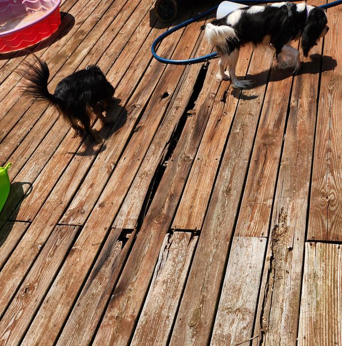 Deck inspection time - it failed. 